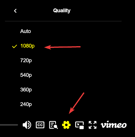 ../_images/yt-dlp-vimeo-kalite.png